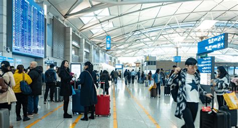 진에어 인천공항 터미널: 하늘을 나는 고양이와의 만남