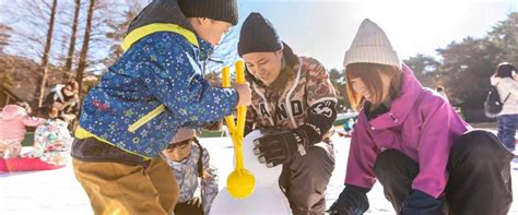 スキーツアー 関西発 - 雪の妖精が教える秘密のリゾート