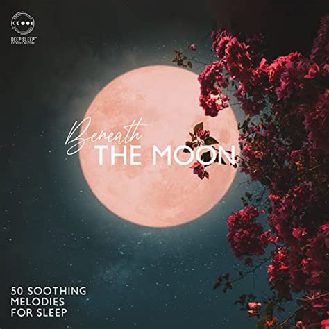  The Soft Moon - 'Circles' Enhypnotic Melodies Intertwined with Distorted Synth Soundscapes